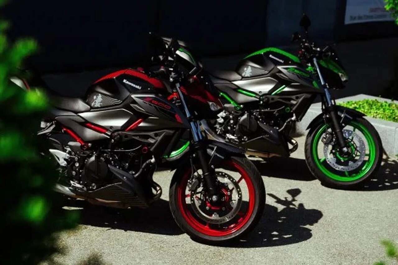 Z 500 Sugomi Edition