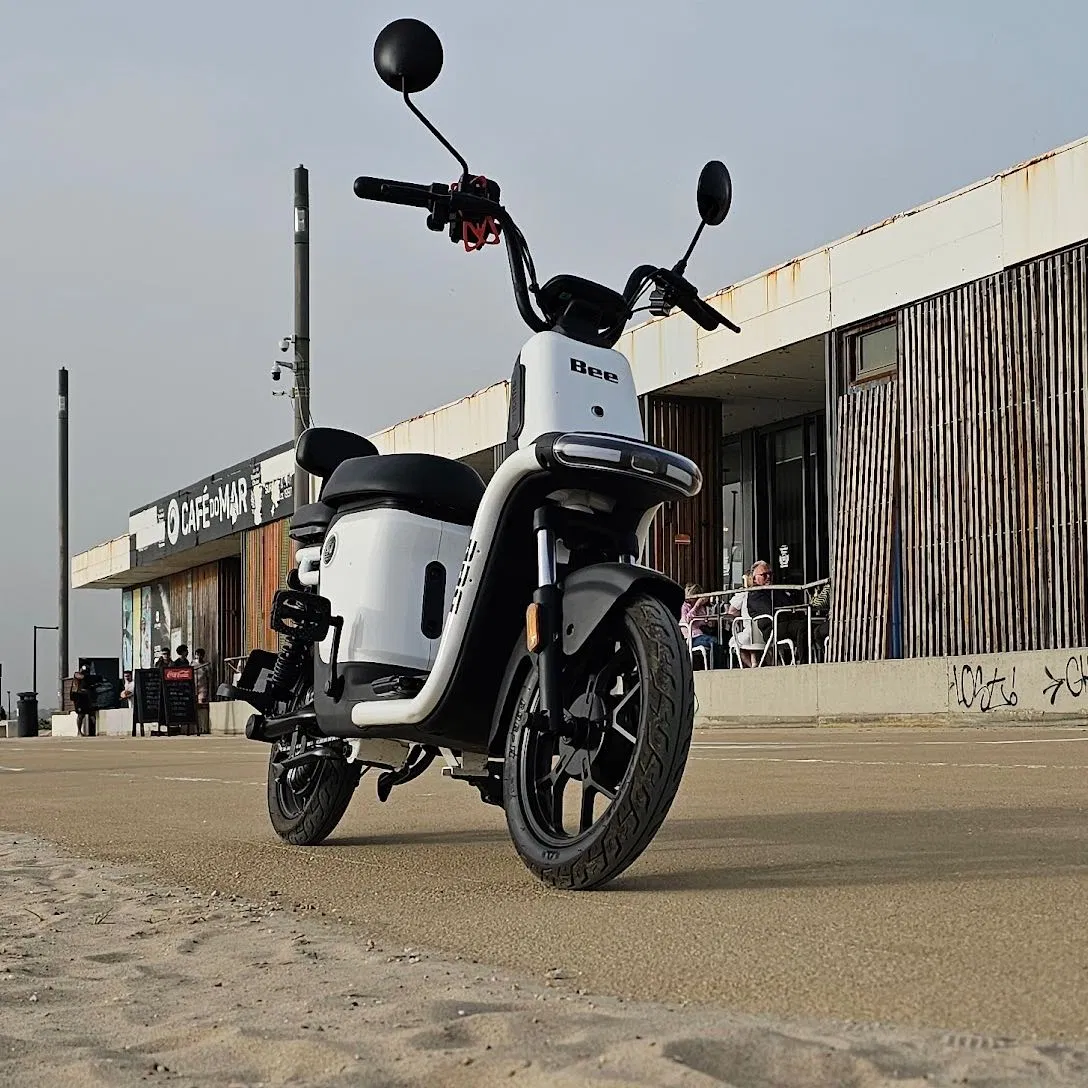Moto elétrica Bee S1