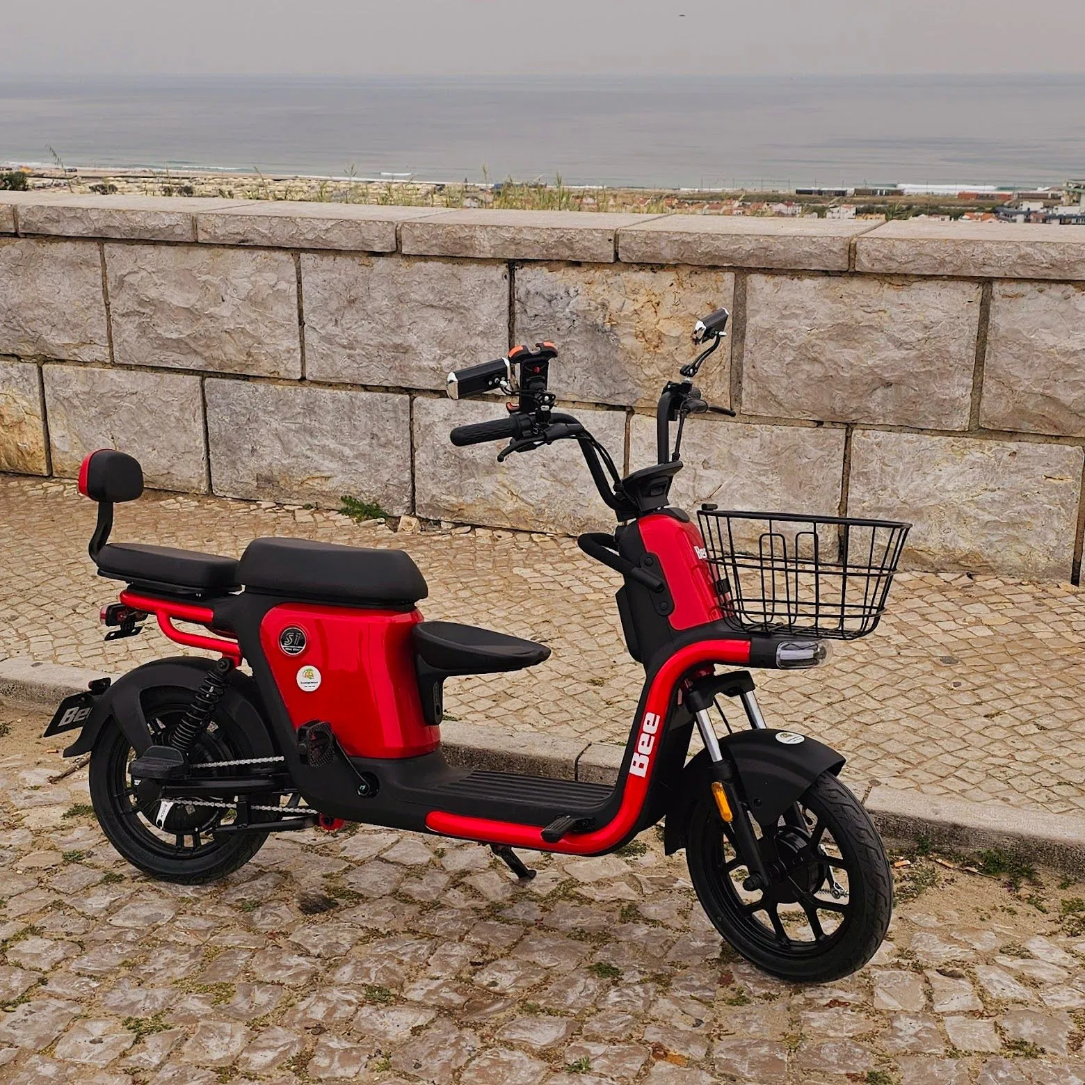 Moto elétrica Bee S1